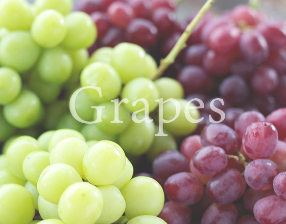 木熟ぶどうの通販